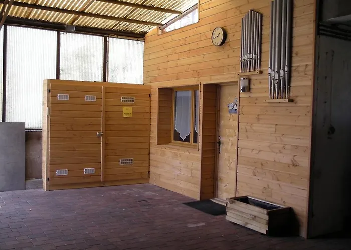 Le Du Facteur D 'orgues Κολμάρ