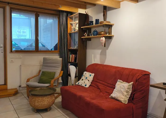 Le Du Facteur D 'orgues Апартаменты Кольмар